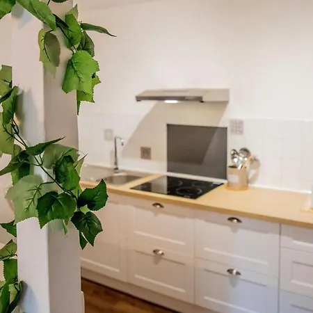 Ma Location Gaillacoise - Confort - Hypercentre - 58m2 - غايلاك