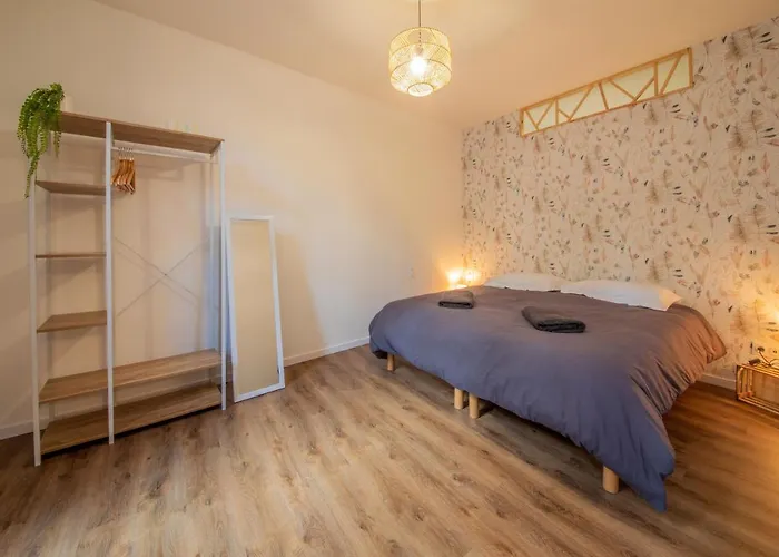 Daire Ma Location Gaillacoise - Confort - Hypercentre - 58m2 - *