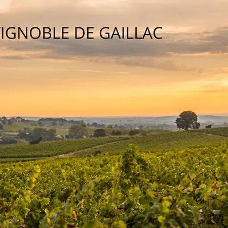 Ma Location Gaillacoise - Confort - Hypercentre - 58m2 - Daire *