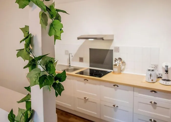 Ma Location Gaillacoise - Confort - Hypercentre - 58m2 - Gaillac