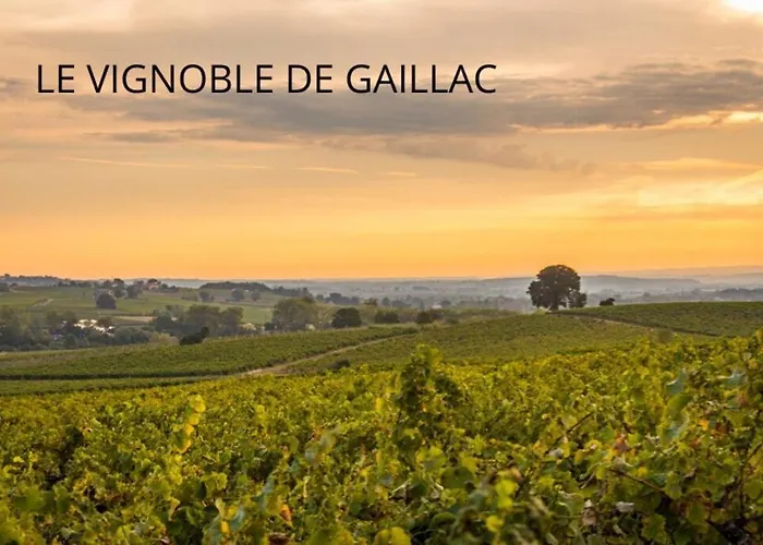 Ma Location Gaillacoise - Confort - Hypercentre - 58m2 - Appartement *